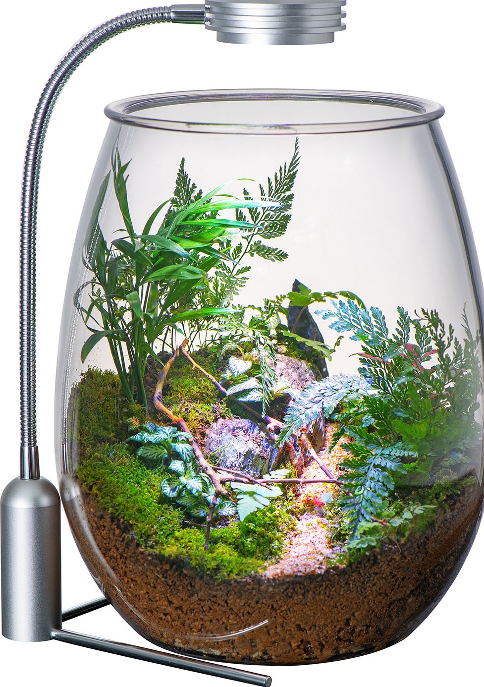 MAS Imports Importer & Distributer of Aquarium and Pet Products