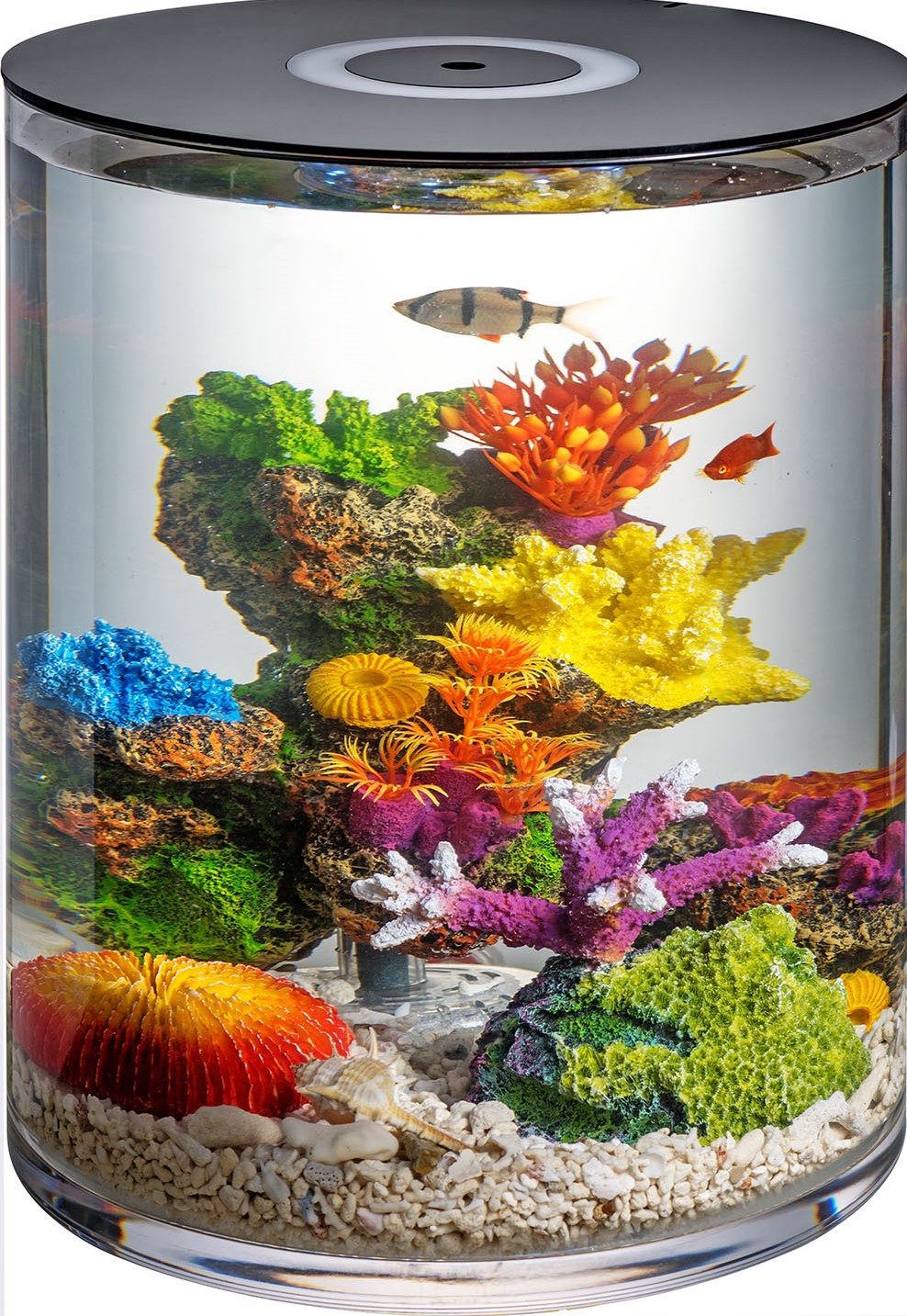 MAS Imports Importer & Distributer of Aquarium and Pet Products